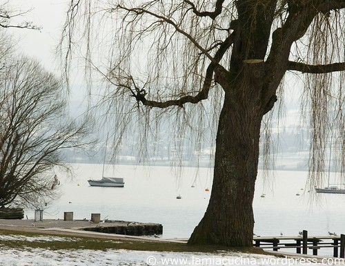 CH-8606 Greifensee 0_2010 03 10_5615