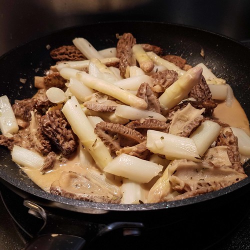 Spargel-Morchel-Ragout 20190419_121257