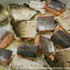Matelote 1_2010 03 13_5743_ed