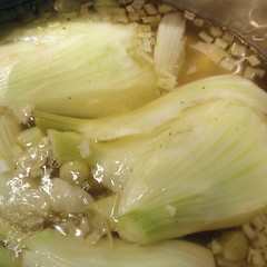 garender Fenchel