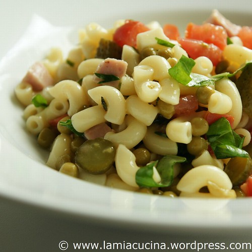 Nudelsalat 0_2010 05 31_7372