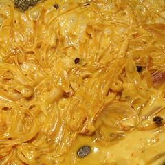 spaghettischalotten2_red2008_0507