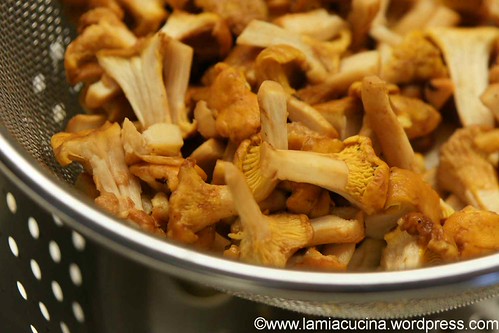 Pfifferlingspastetchen 1_2012 07 10_6085
