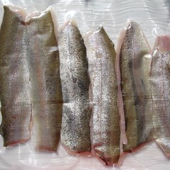 Filets vakuumiert