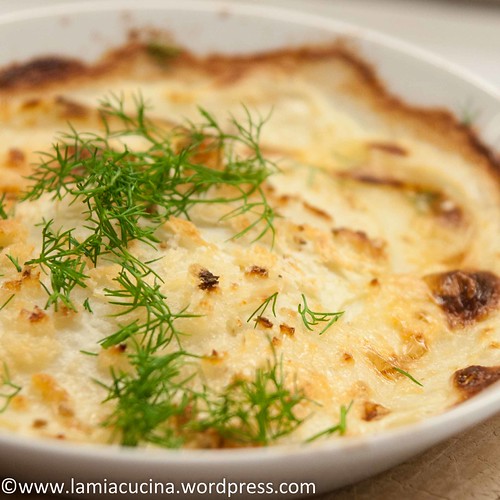 Kohlrabigratin 2014 05 04_3940