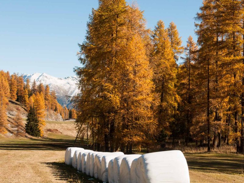 Unser Indian Summer