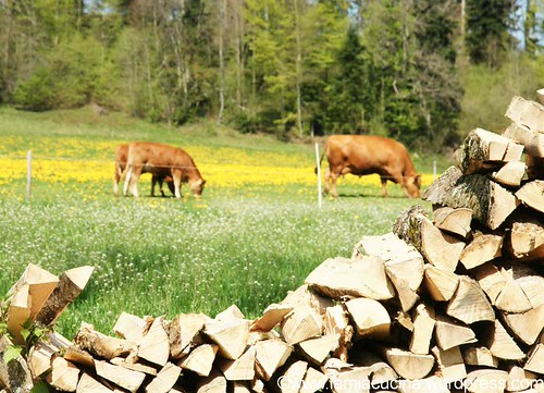 Obdachlosensuppe 5_2012 05 04_4584