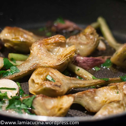 Carciofi spinosi 2015 01 29_6944