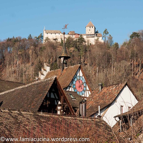 CH-8260 Stein am Rhein (2015 12 17_9870)