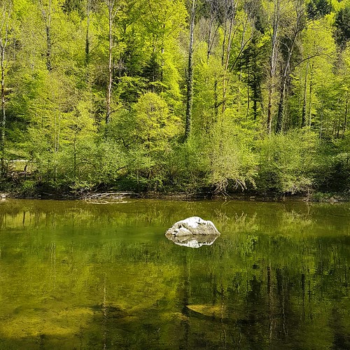 Doubs(14) Soubey 20180424_161024