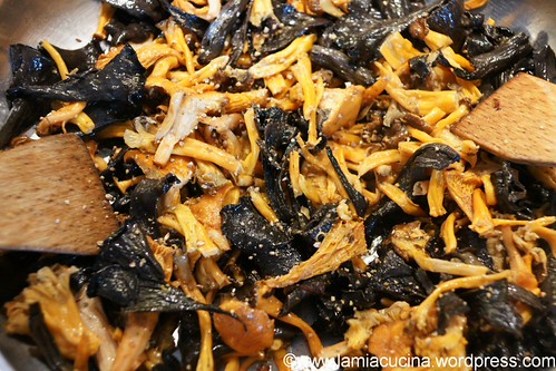 Waldpile in Fonduta 1_2011 10 20_0720