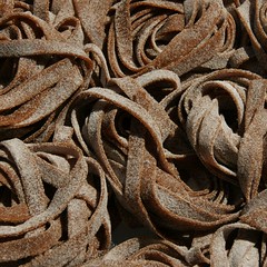 Kloazn-Nudeln 2_2009 06 22_0945