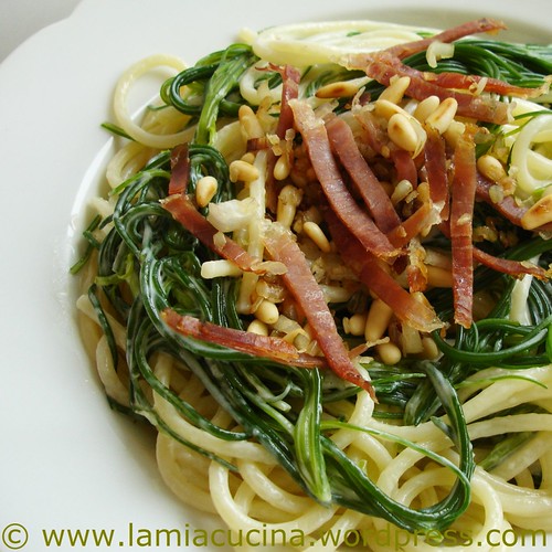 spaghettibarba0_redc2008_0799
