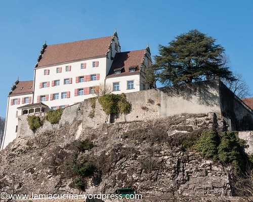 CH-5108 Schloss Kasteln 2016 03 10_0417
