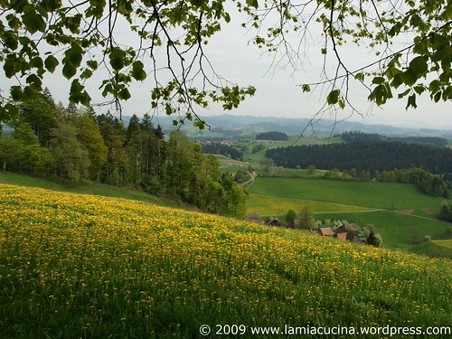 CH-3555 Trubschachen 0_2009 05 05_0015