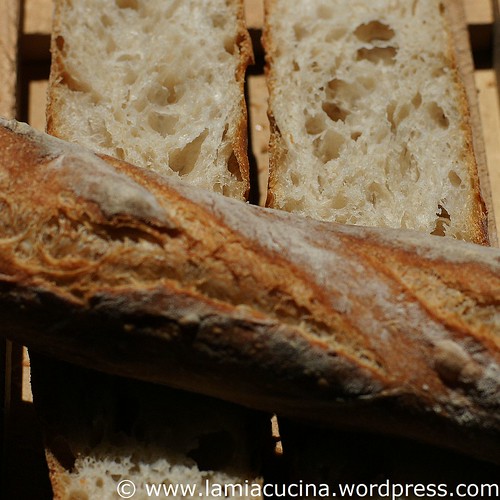 Baguette 0_2011 06 05_4055