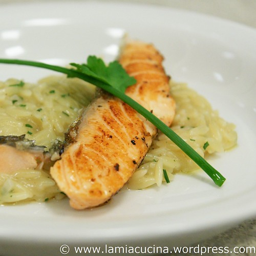 Lachs mit Pastasotto 0_2010 03 01_5487