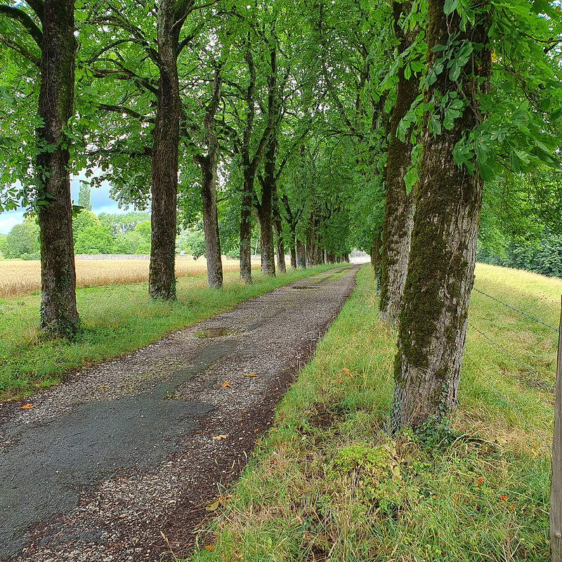 Jura 20200629_103802