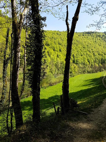 Doubs(14) Soubey 20180424_153525
