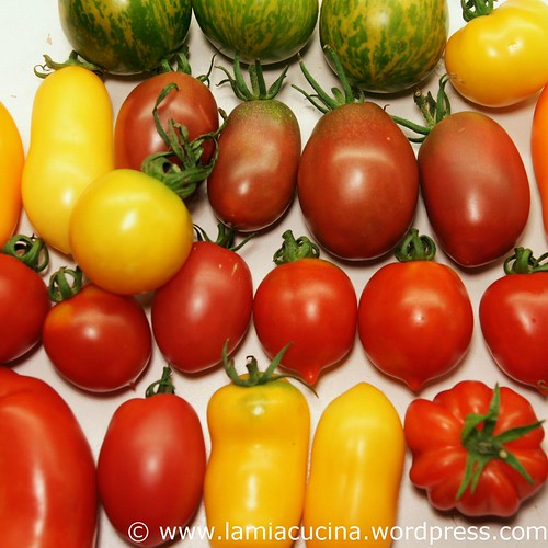 Hämiker Tomaten 0_2011 08 05_5349
