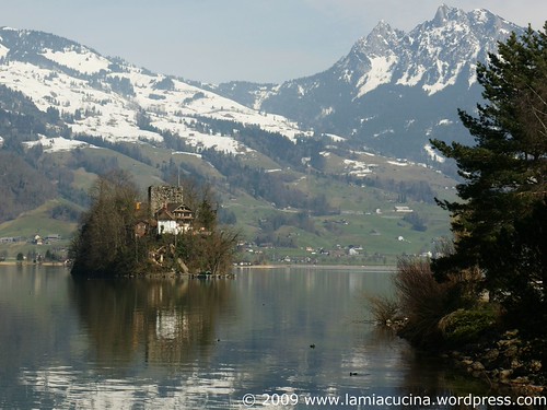 Blick auf die Schwanau und Schwyz