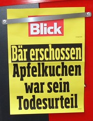 Apfelkuchen Birch 0_DSC06521