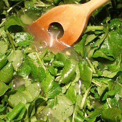 Brunnenkressesuppe1_red2008_1178
