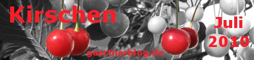 Garten-Koch-Event Juli: Kirschen [31.07.2010]
