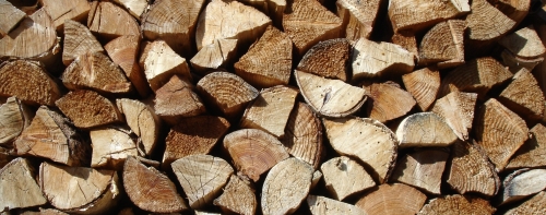 Calanca Holz
