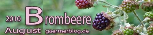 Garten-Koch-Event