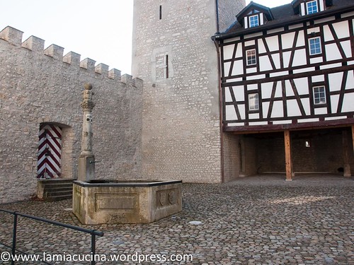 CH-5106 Veltheim- Schloss 2016 03 10_0440