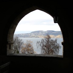 Ausblick auf See und Mont Vully