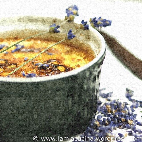 Crème Brulée mit Lavendel