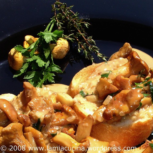 Crostini ai finferli