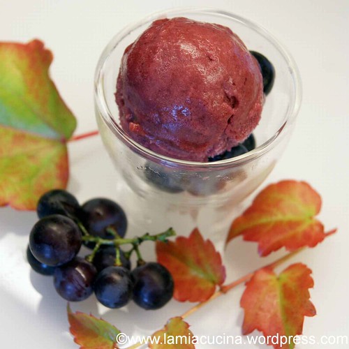 Traubensorbet 0_2012 10 07_7764
