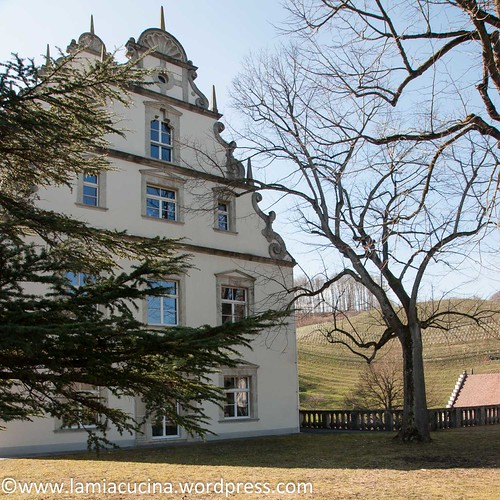 CH-5108 Schloss Kasteln 2016 03 10_0424