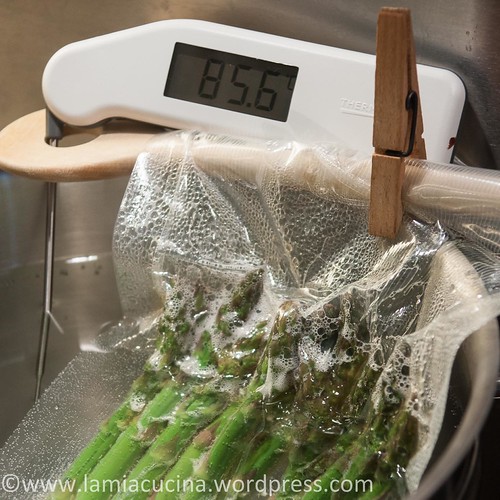 Spargel sous-vide 2014 05 01_3916
