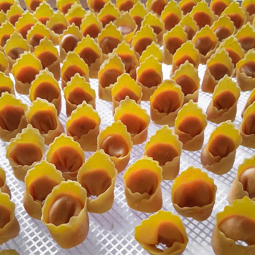 Tortelli di zucca 20171008_134558