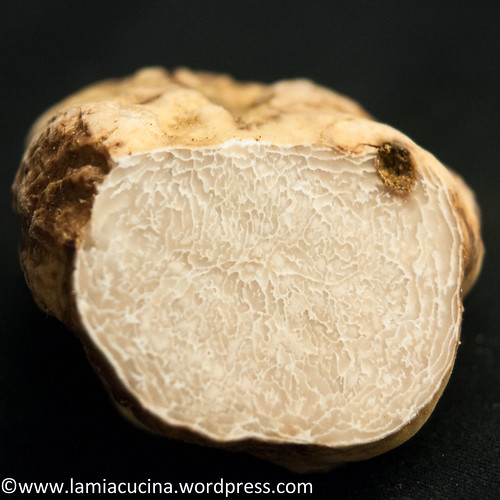 Tagliatelle al tartufo bianco 2014 11 22_6522