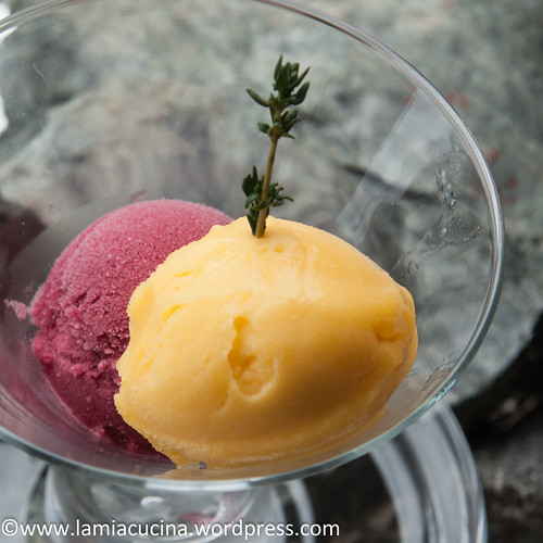 Sorbet 2013 11 07_2179