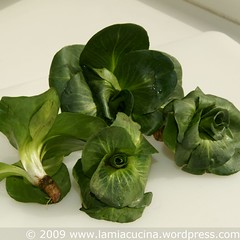 Cicoria verde Grumolo