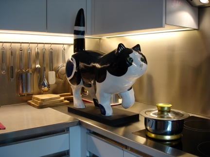 Schnurrli in the kitchen