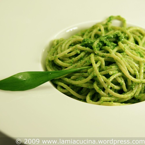 Bärlauchpesto 0_2009 03 28_9237