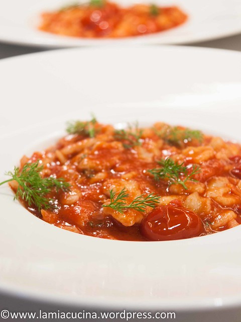 Pizzicotti (2016 01 03_9969)