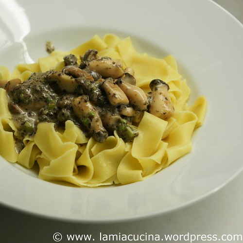 Tagliatelle mit Pilzen 0_2010 04 03_6197