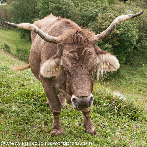 Ferien 2013 2013 09 16_1664