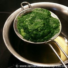 Teig 4_2010 05 15_6901