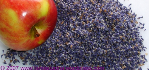 apple and lavender