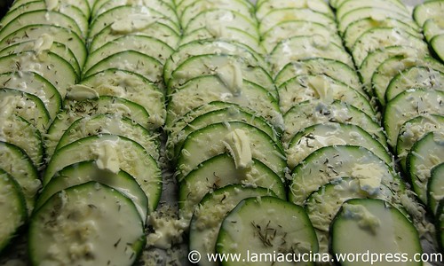 Gebackene Zucchinikeule 2_2010 07 18_8153