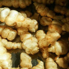 Stachys